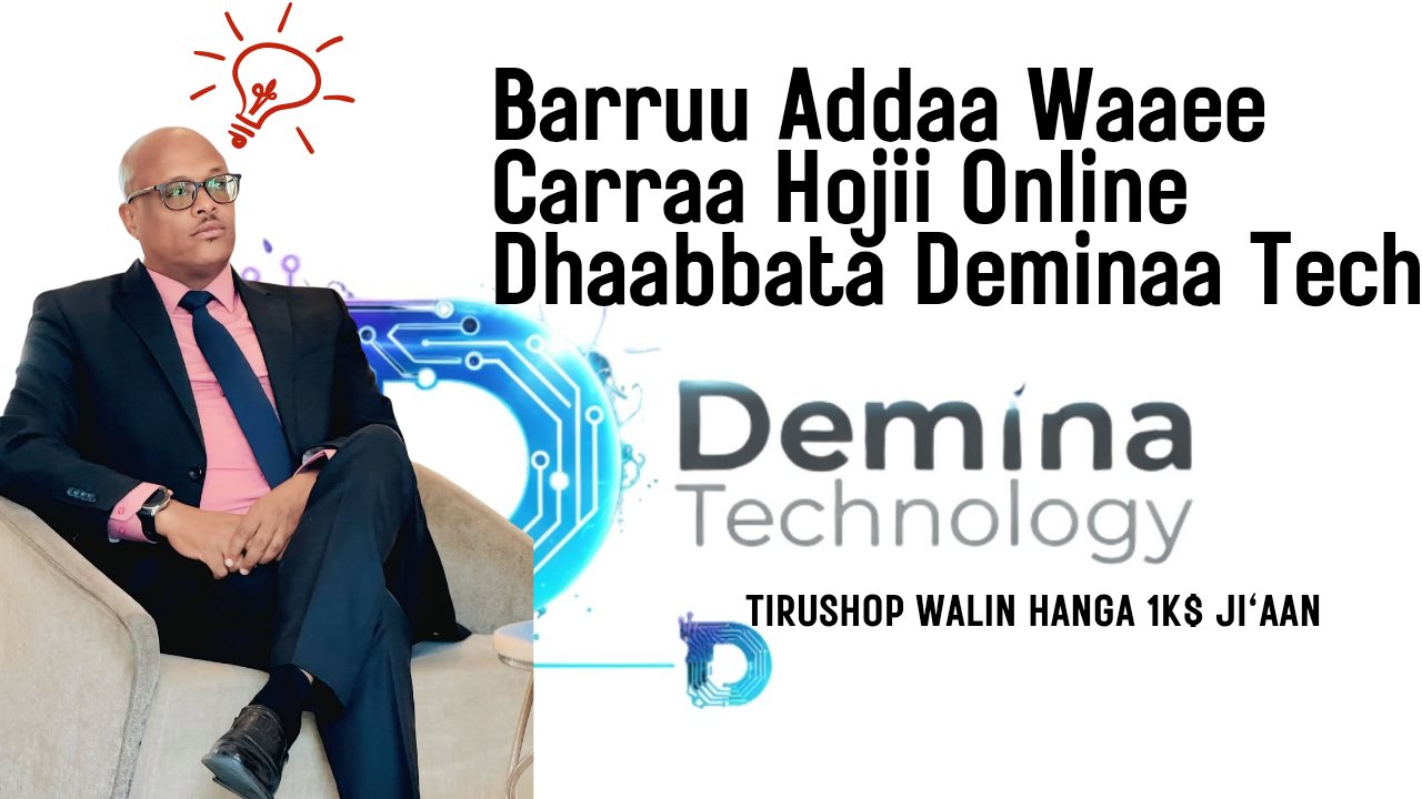 Platform Haaraa Dhaabbata Demina Technology