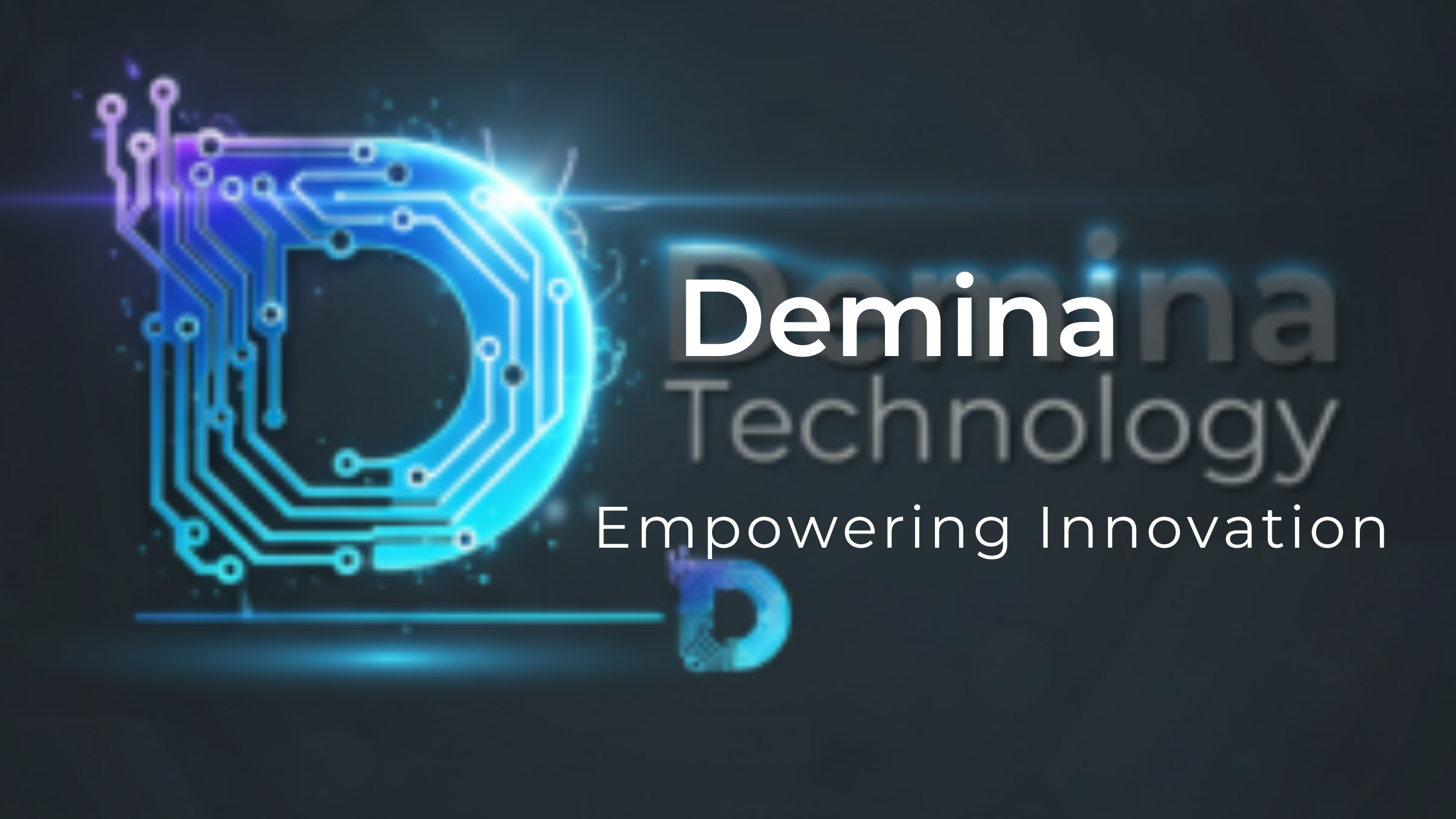 Demina Technology
